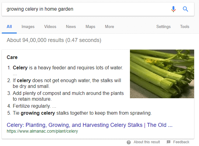 Grow Celery In Home Garden - Focus on Strong Link Building