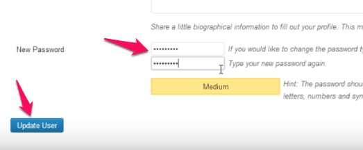 Wordpress Change User Password Section