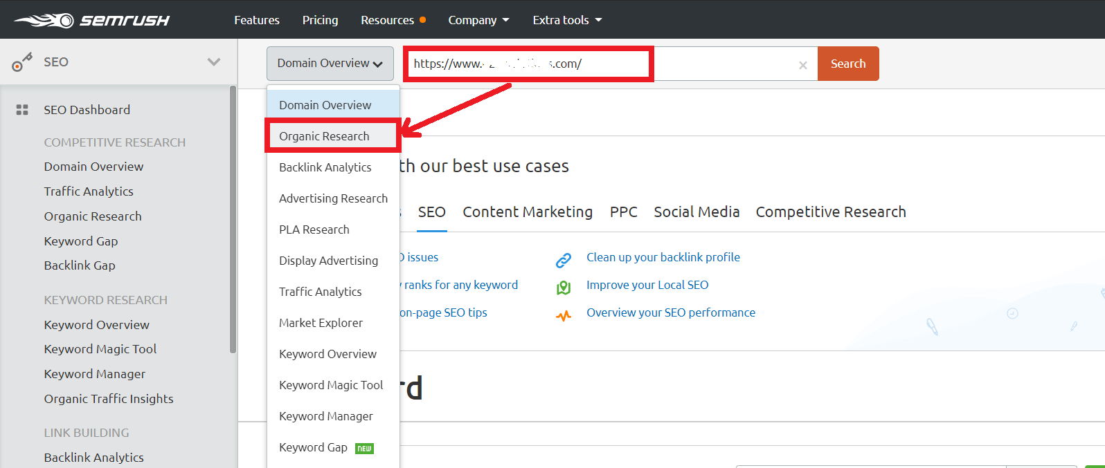 searching organic keywords for your own website